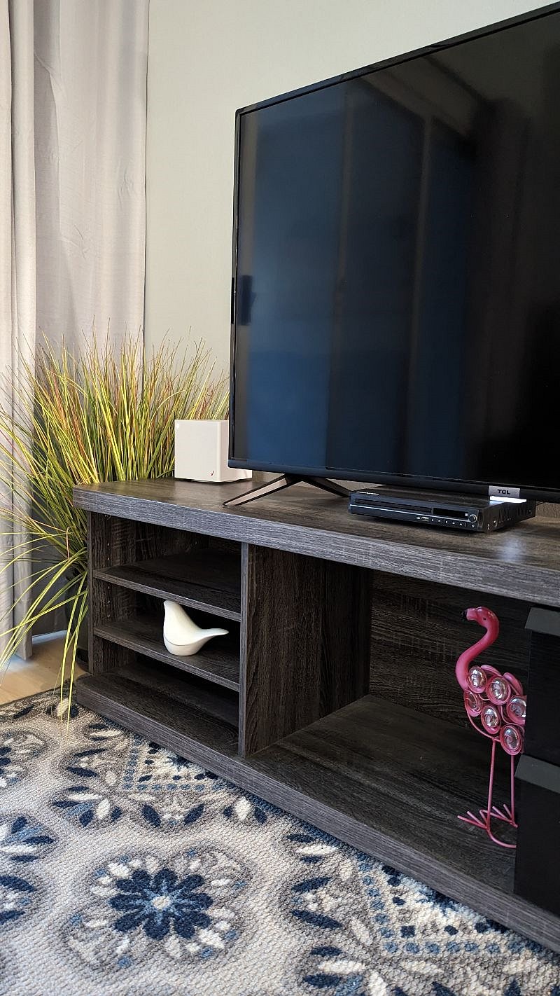 Living Room TV and WIFI unit.