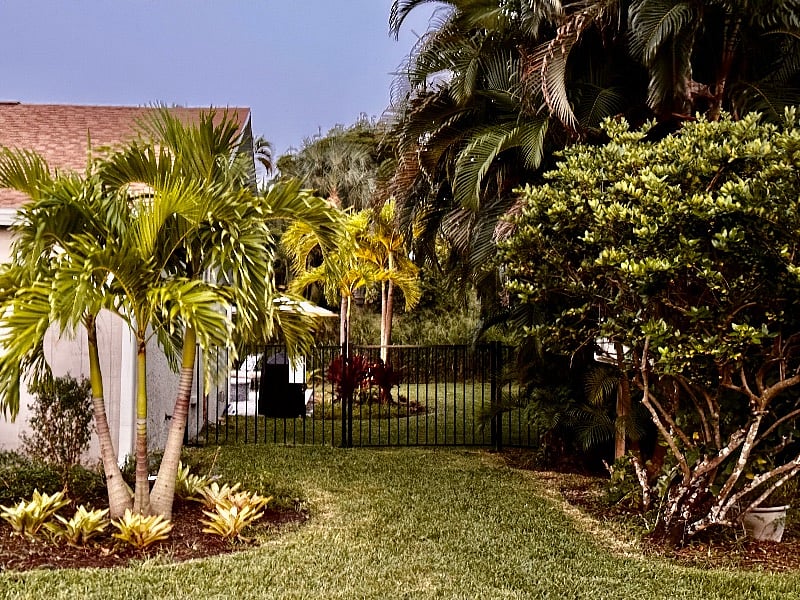 Side yard and gate