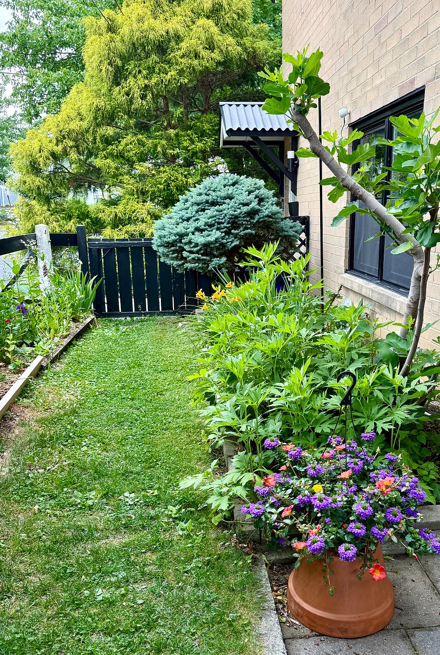 Furnished Finder property 600306_1 photo 31