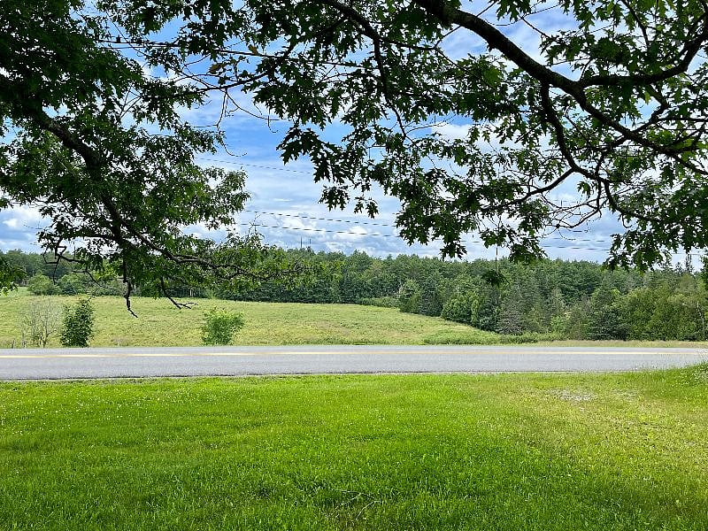 View from the front of house, looking across the country road.