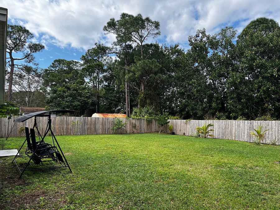 Backyard