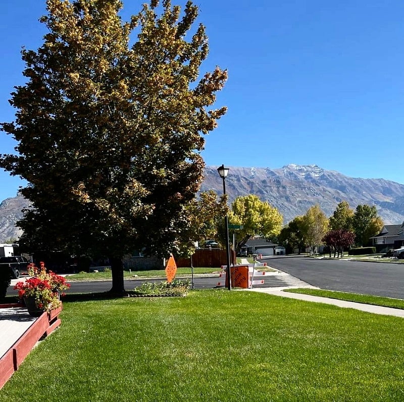 Furnished Finder property 600413_1 photo 15