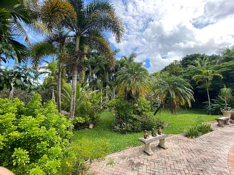 Back Yard View