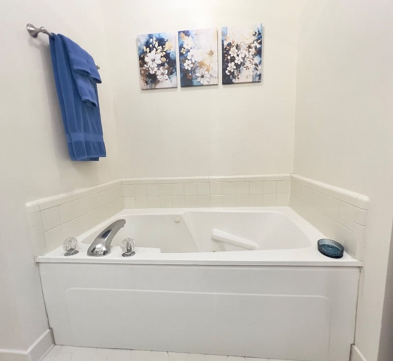 Charleston room, private bathroom whirlpool tub