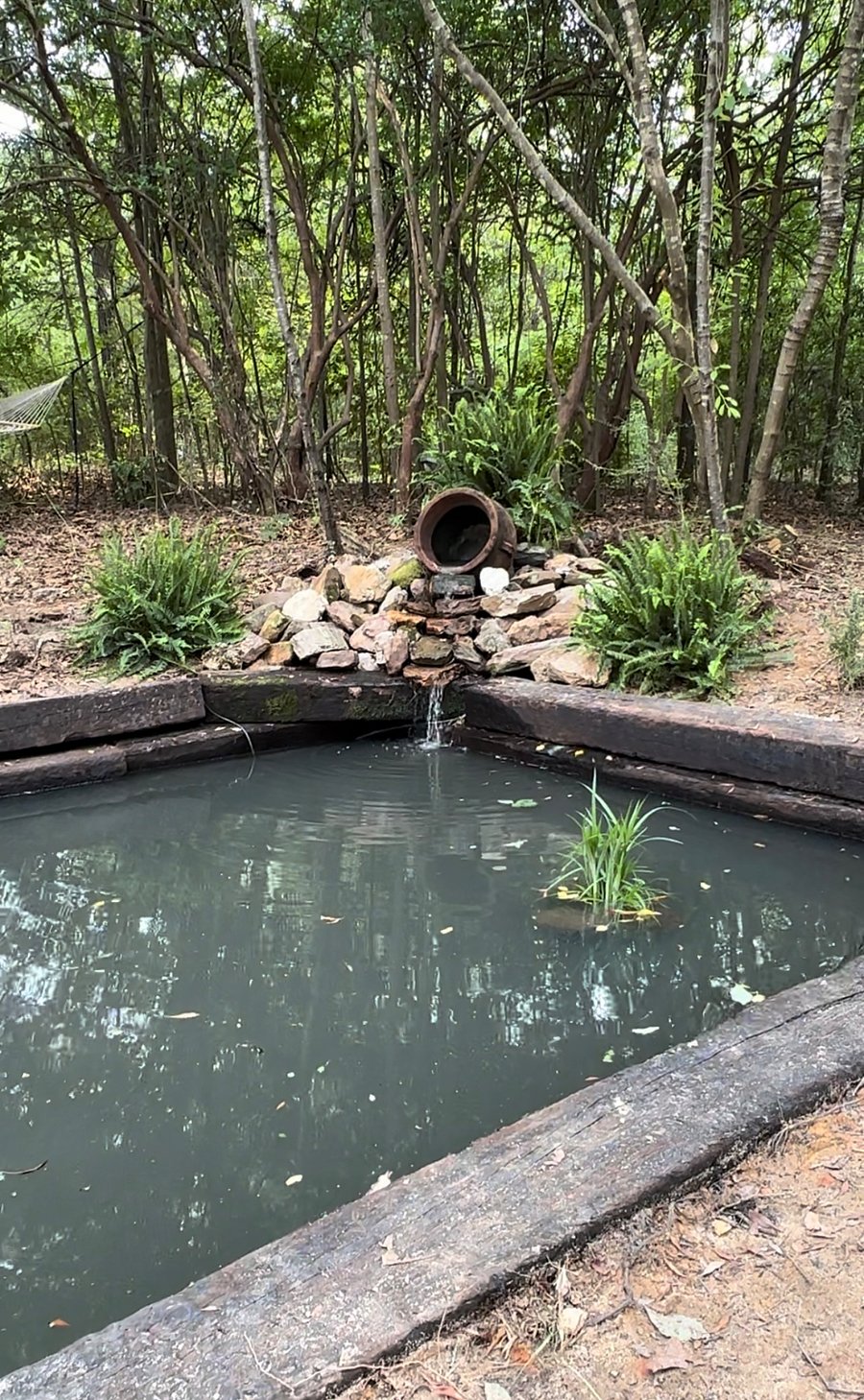 Relaxing, goldfish pond.  Outdoor seating area includes a bench, tables, chairs, and a hammock to help unwind from a busy day.  