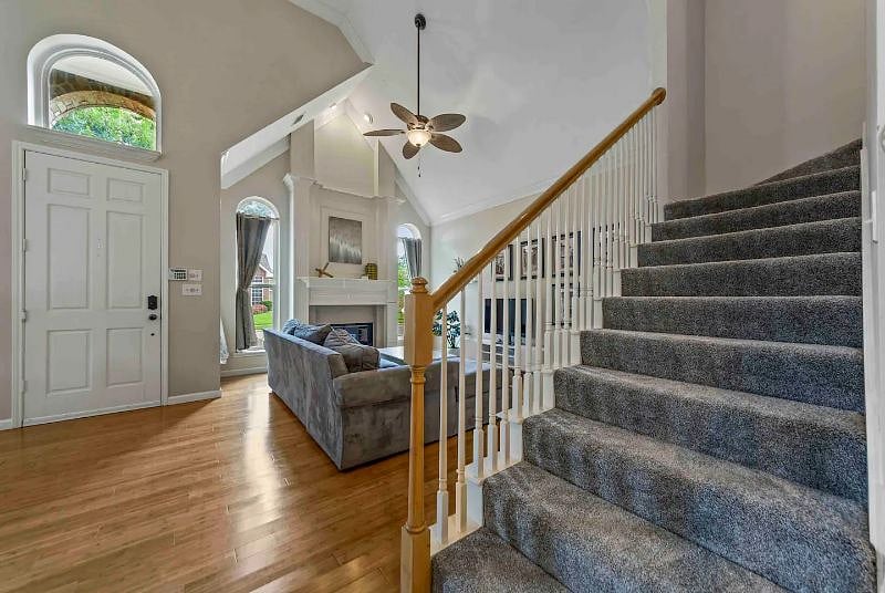 Furnished Finder property 600586_1 photo 12