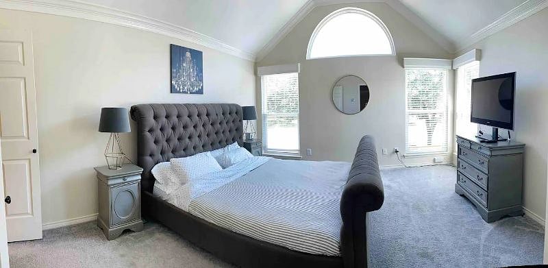 Furnished Finder property 600586_1 photo 13