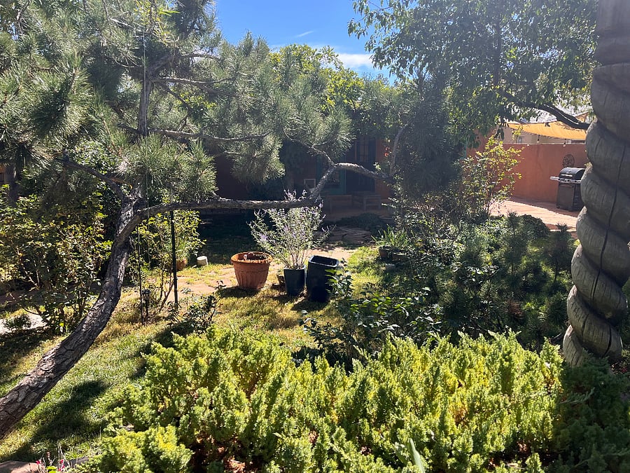 Furnished Finder property 600663_1 photo 13