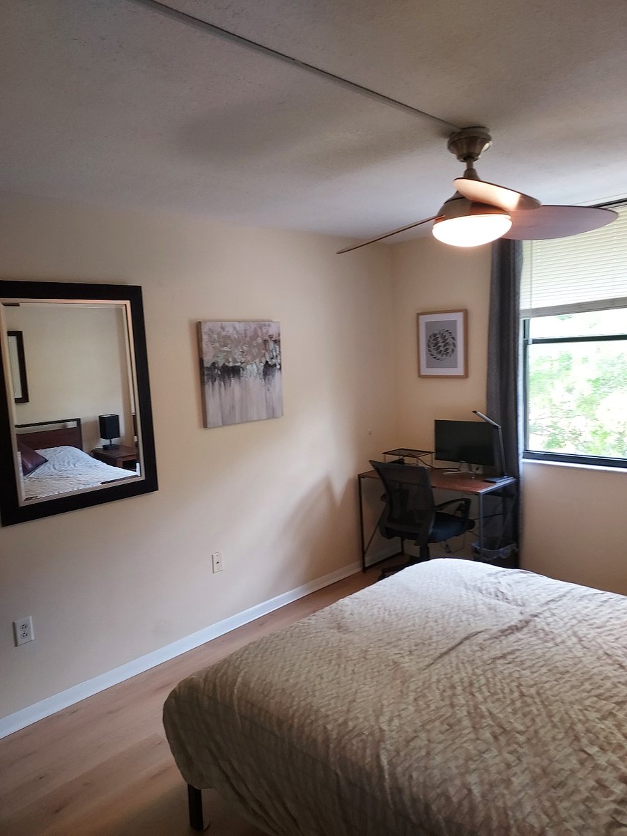 Furnished Finder property 600687_1 photo 10