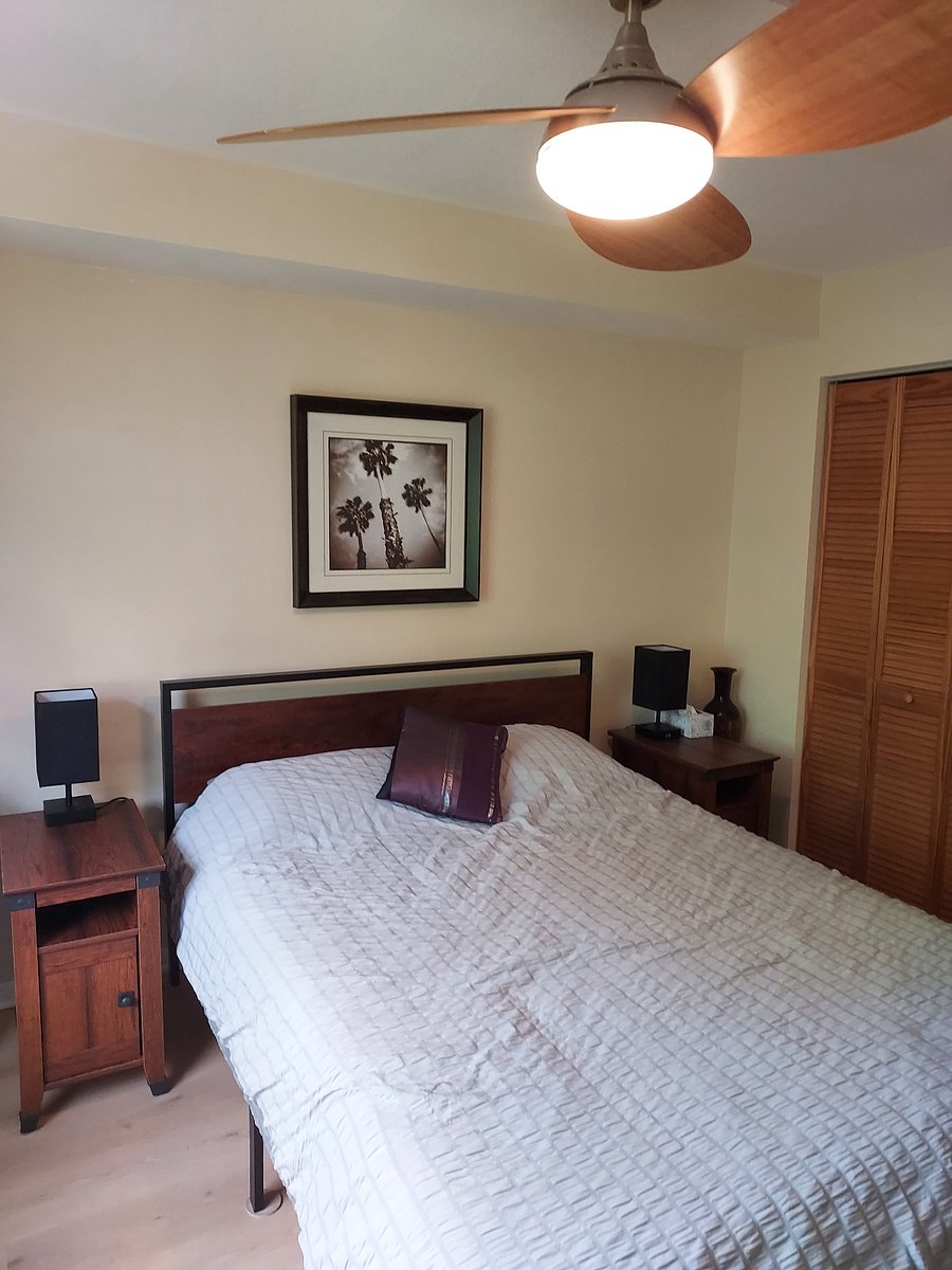 Furnished Finder property 600687_1 photo 9