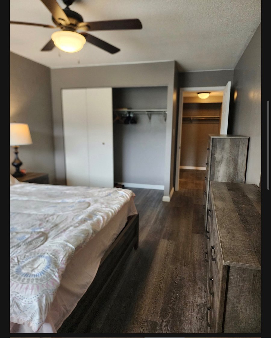 Furnished Finder property 600700_1 photo 5