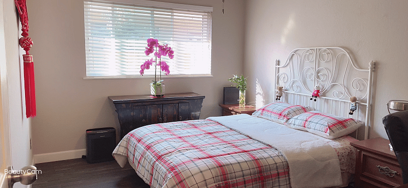Furnished Finder property 600822_1 photo 12