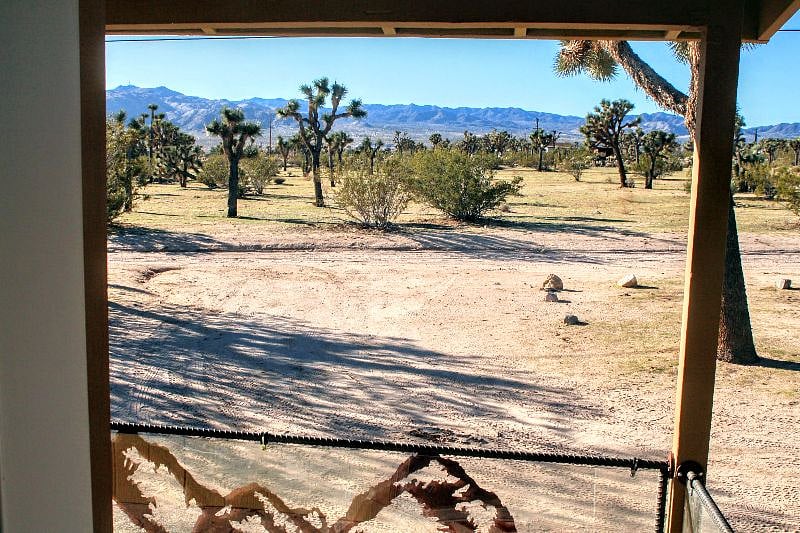 The view from the front porch