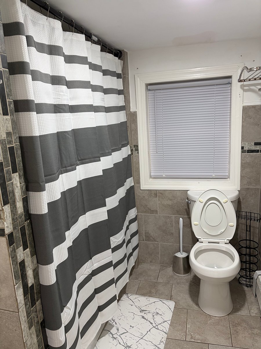 Furnished Finder property 601052_1 photo 15