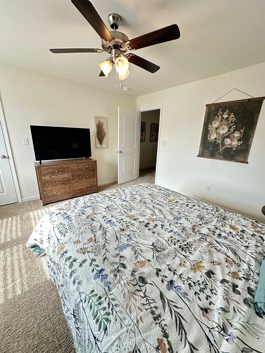 Furnished Finder property 601393_2 photo 13