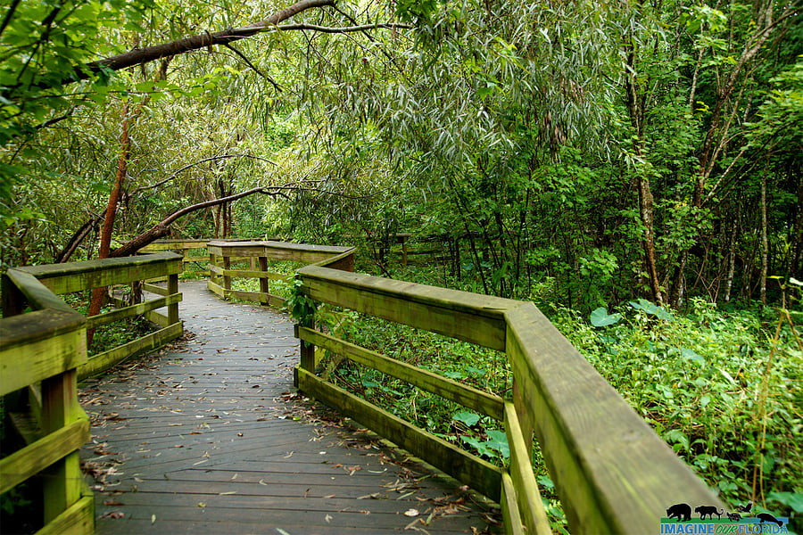 Mead Gardens is close enough to walk to and has lots of trails