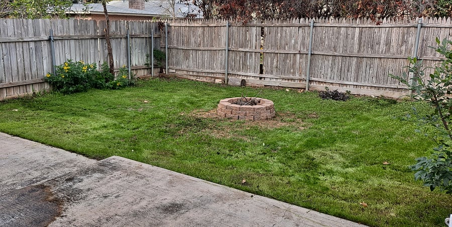 Private fenced backyard/not shared
