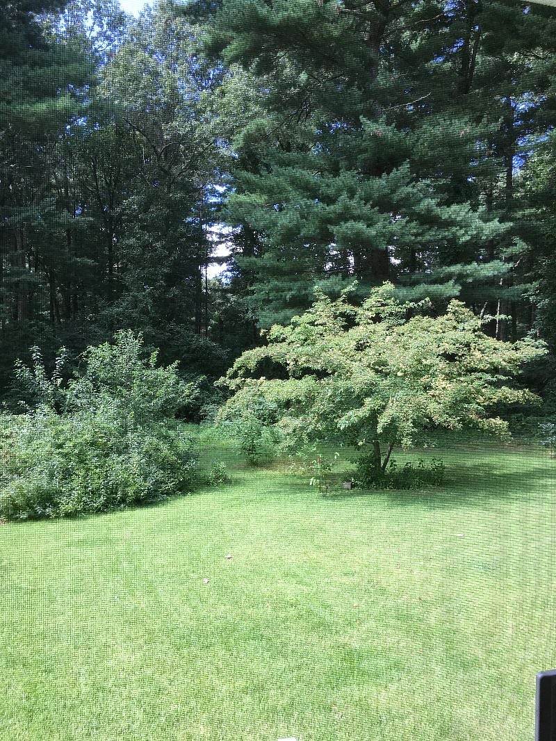 Furnished Finder property 601767_1 photo 6