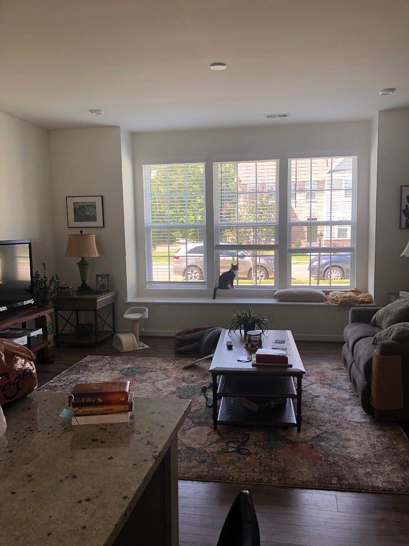 Furnished Finder property 601989_1 photo 3