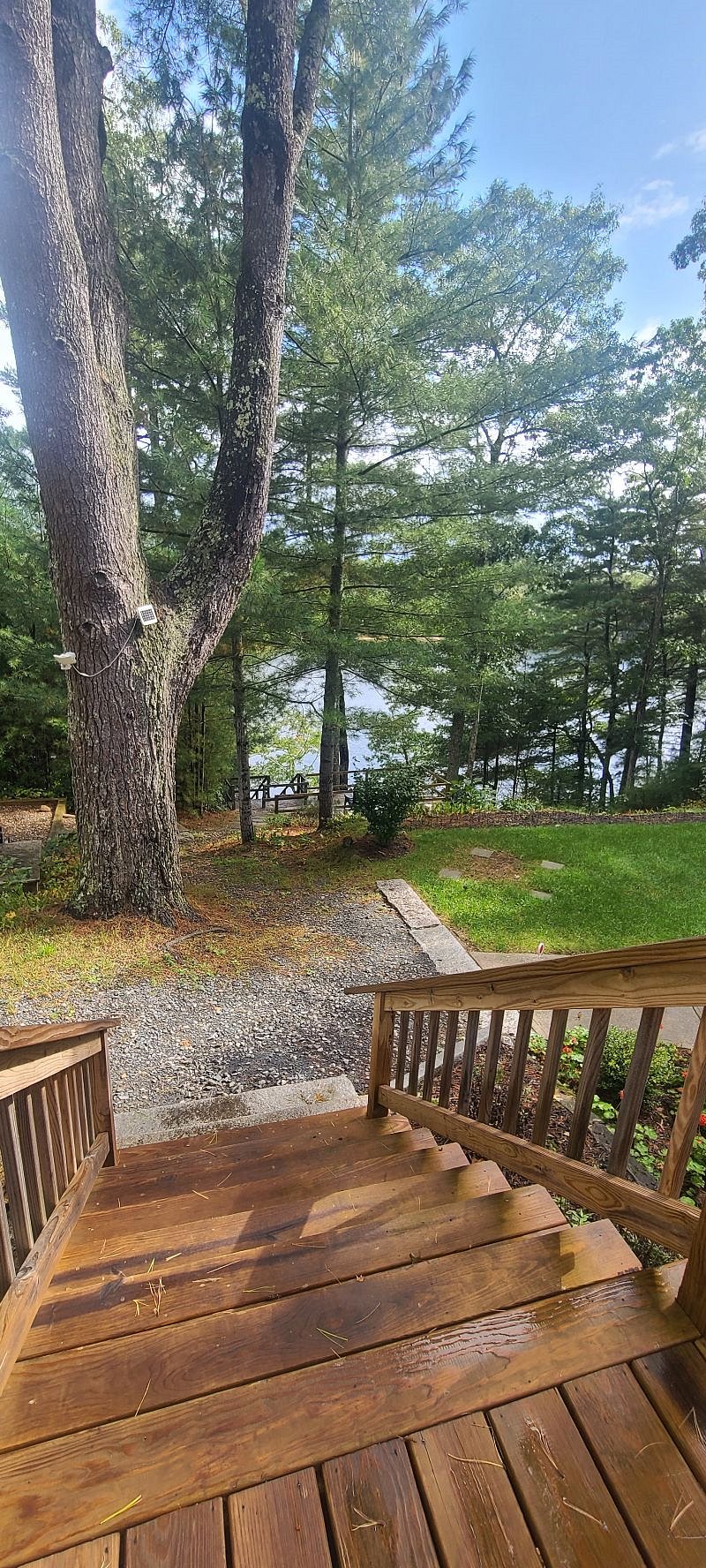 Furnished Finder property 602039_1 photo 20