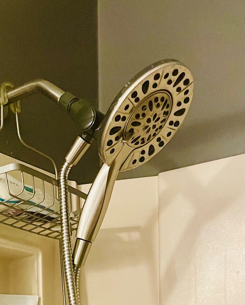 Handheld Showerhead
