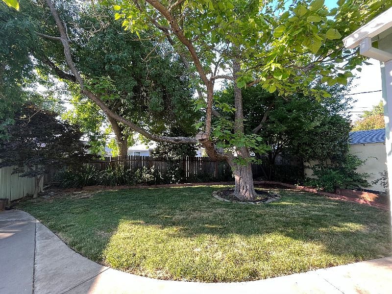 Furnished Finder property 602192_1 photo 15