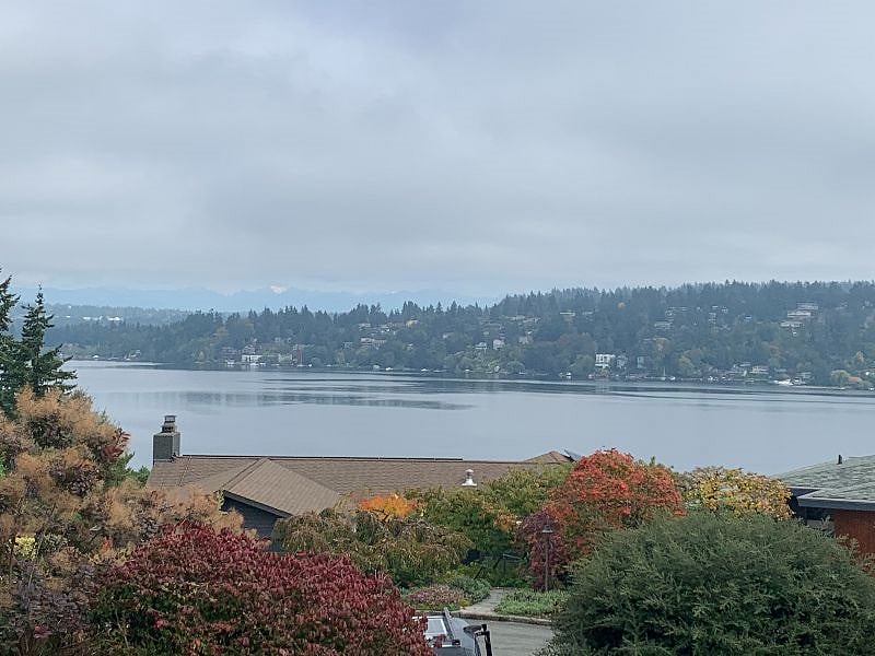 Enjoy watching float planes, water-skiers and boating activities on Lake Washington.