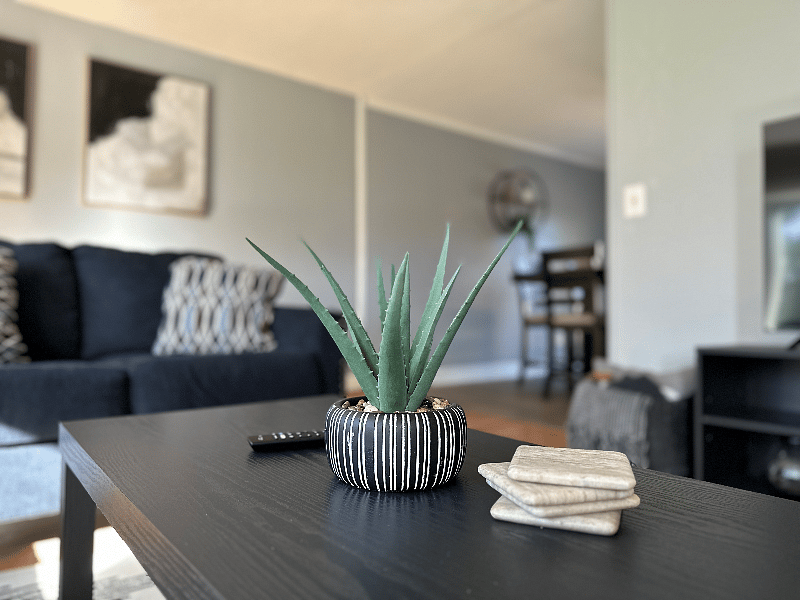 Furnished Finder property 603099_1 photo 14