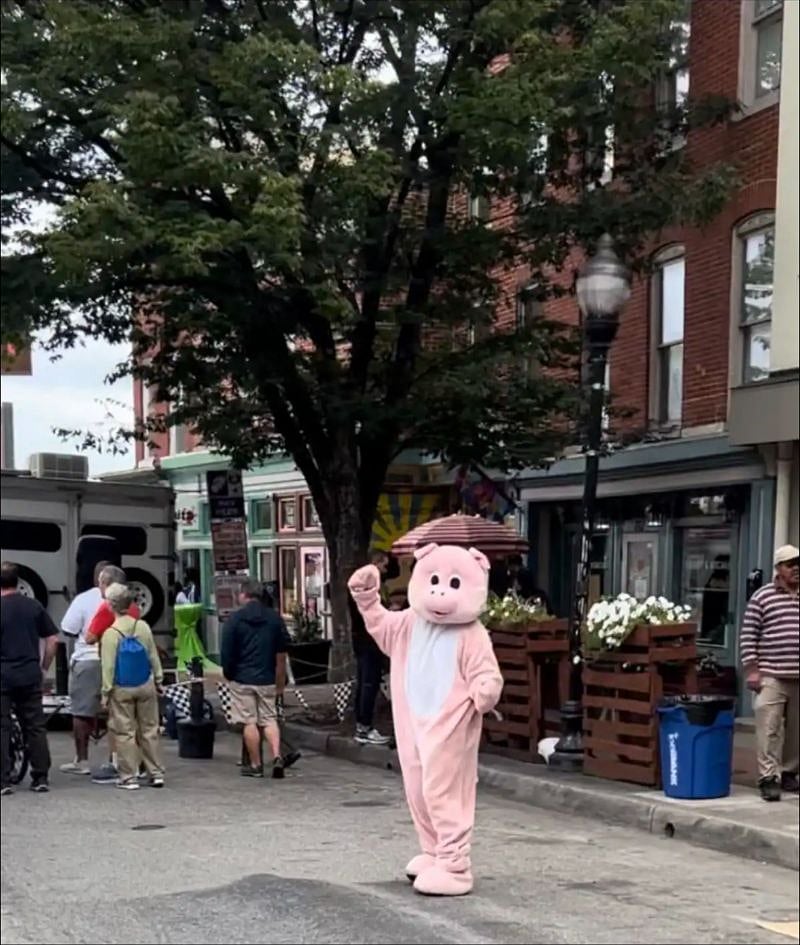 Washington Village, aka Pigtown, is a neighborhood with residents who love their community and downtown area. In late September, there is an annual Pig Festival with Pig Races....such a fun event!