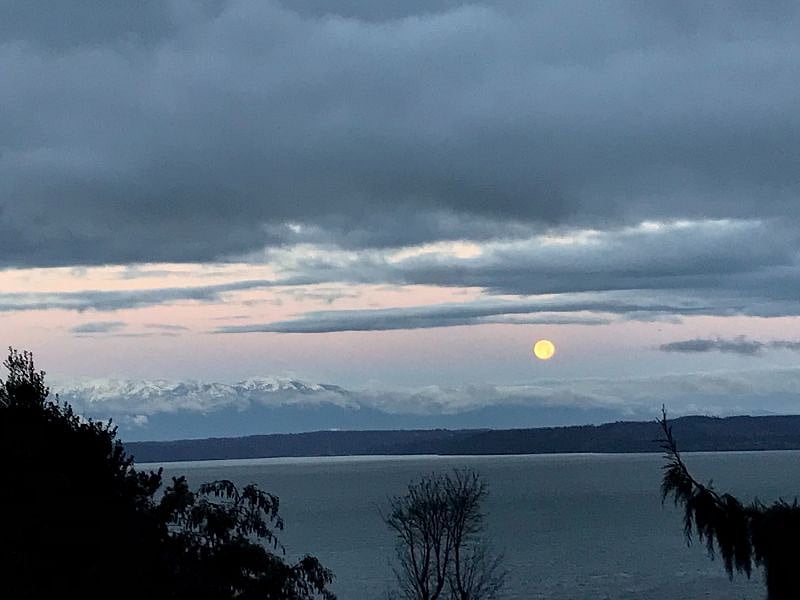 Moonscape view