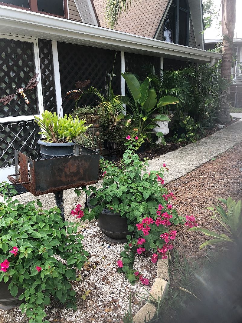 Front Entrance to House & Lania. House Gardens & Charcoal BBQ grill