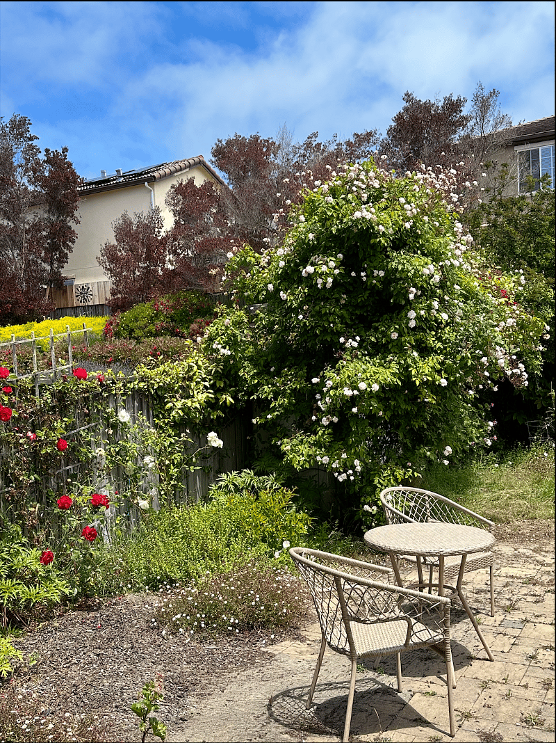 Furnished Finder property 603576_1 photo 21