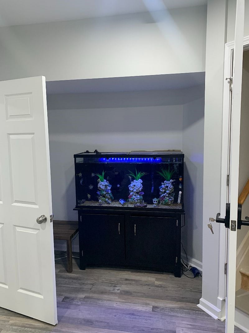Furnished Finder property 603761_1 photo 15