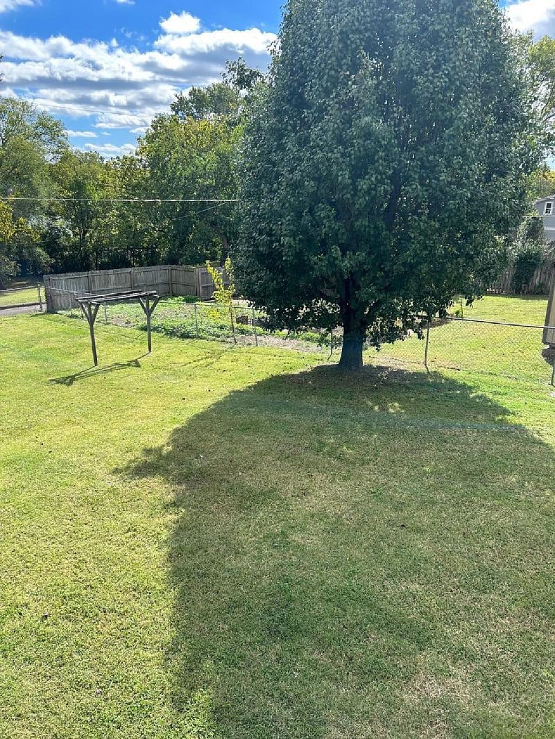 Large shade tree to get out of the sun.