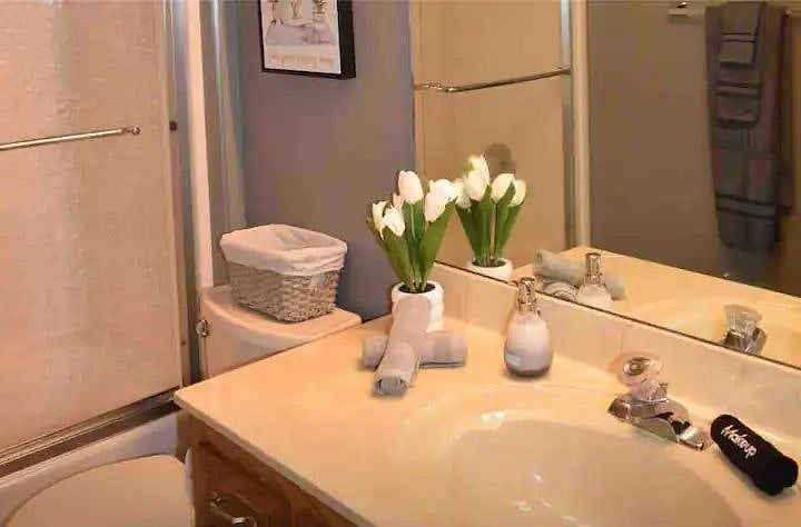 Furnished Finder property 603926_1 photo 14