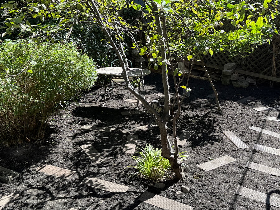 Backyard and deck