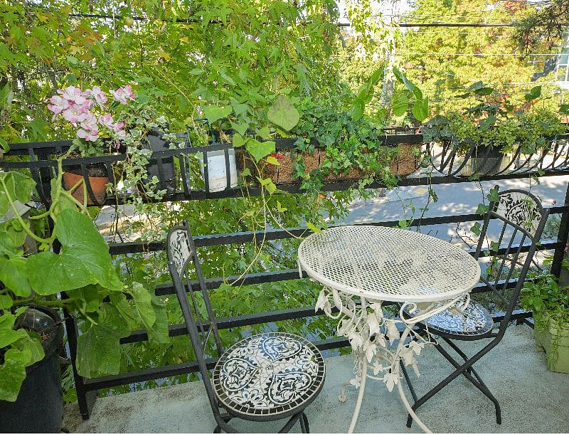 Patio overlooking the street