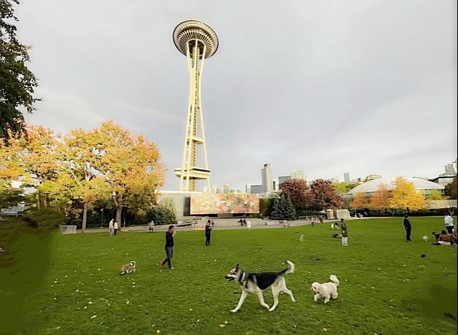 Seattle Center is right down the hill, you can walk or take bus