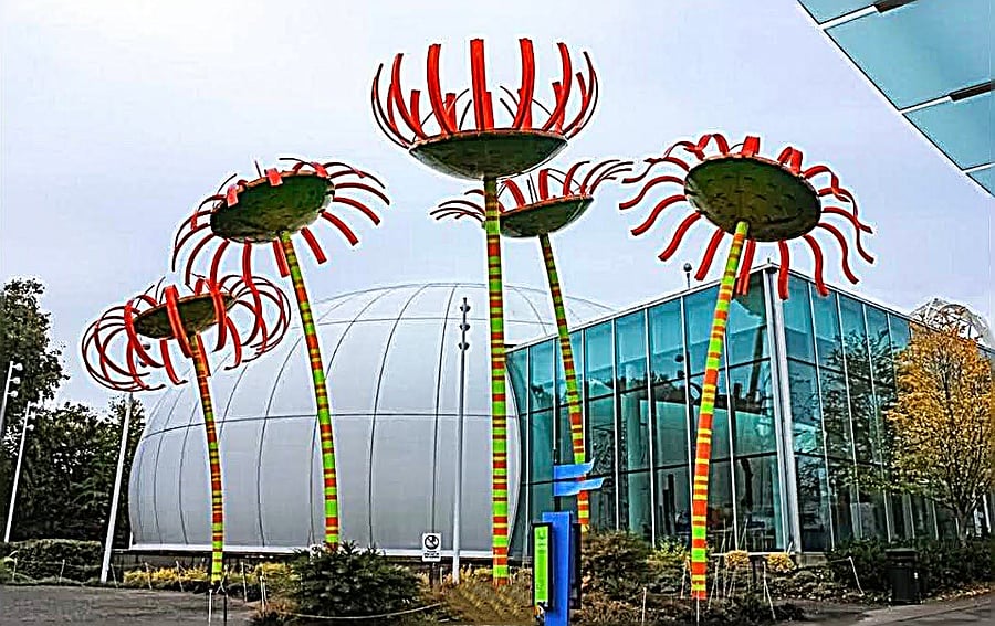 Chihuly Grass Museum right down the hill ( can even walk or bus Infront, only 3 to 4 stops)