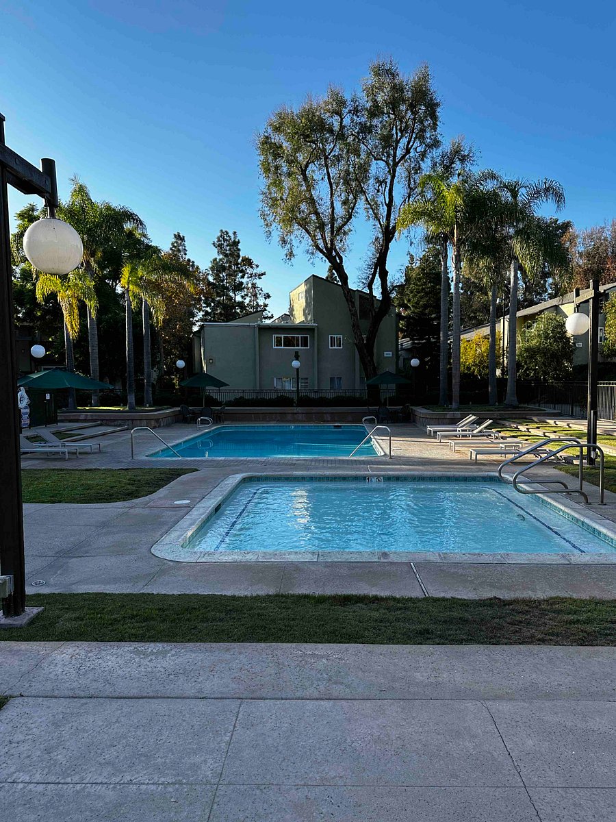 Furnished Finder property 604233_1 photo 29