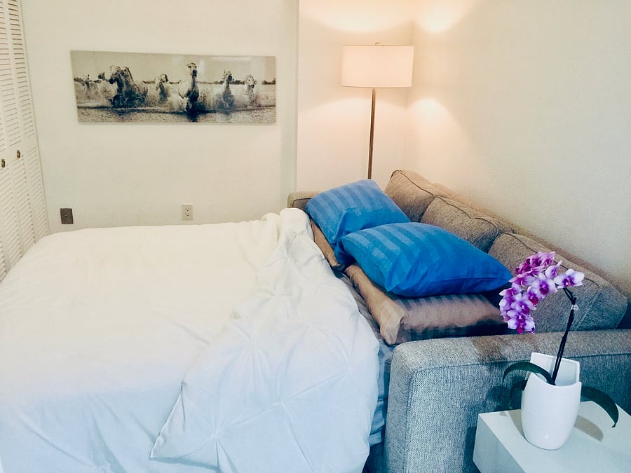 2nd Bedroom Queen sofa bed