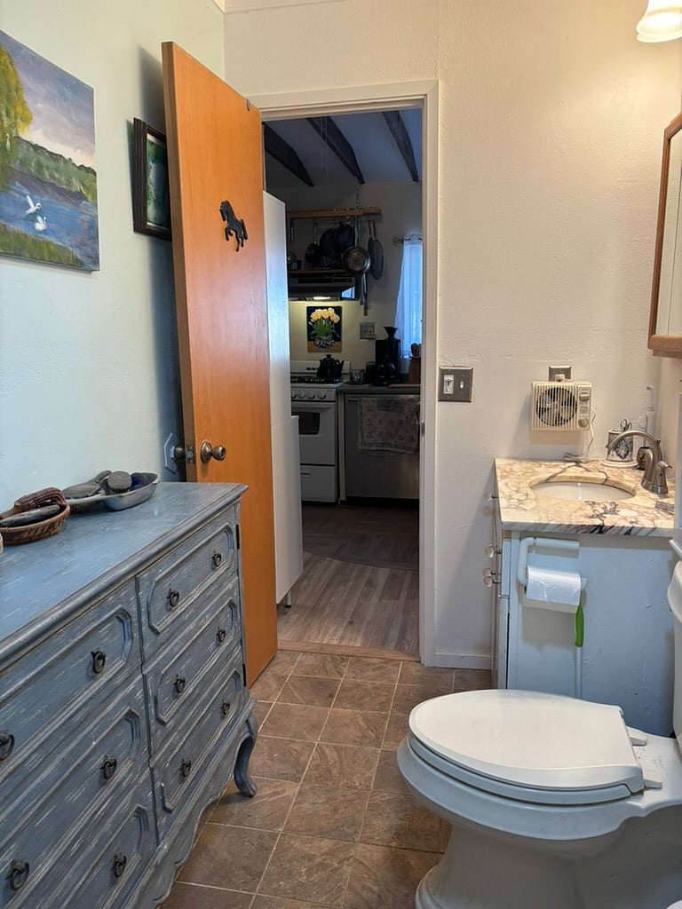 The Avian Admiration Bathroom for the main house