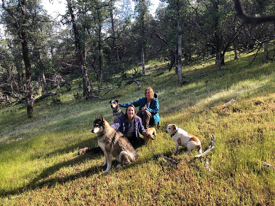 Walking in the back 40 with the fur babies