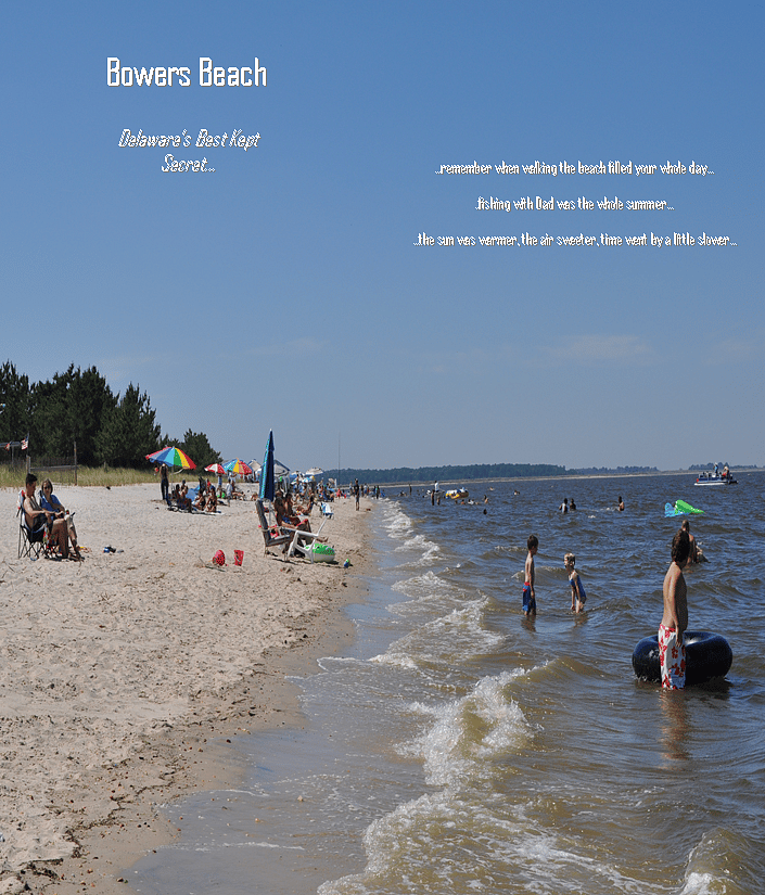 A day at the beach along the Delaware Bay