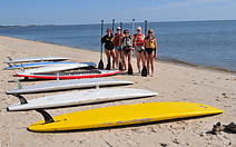 Paddleboarders at the beach
