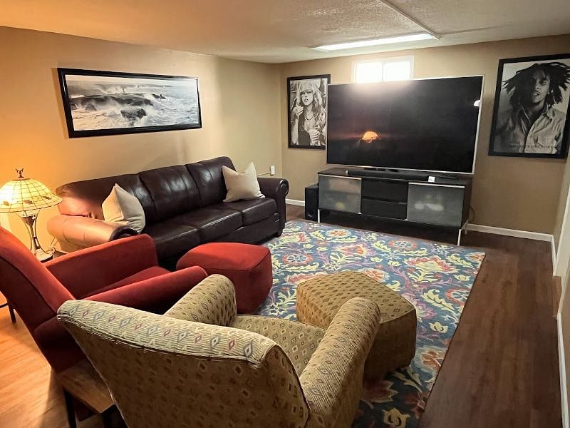 Basement living room