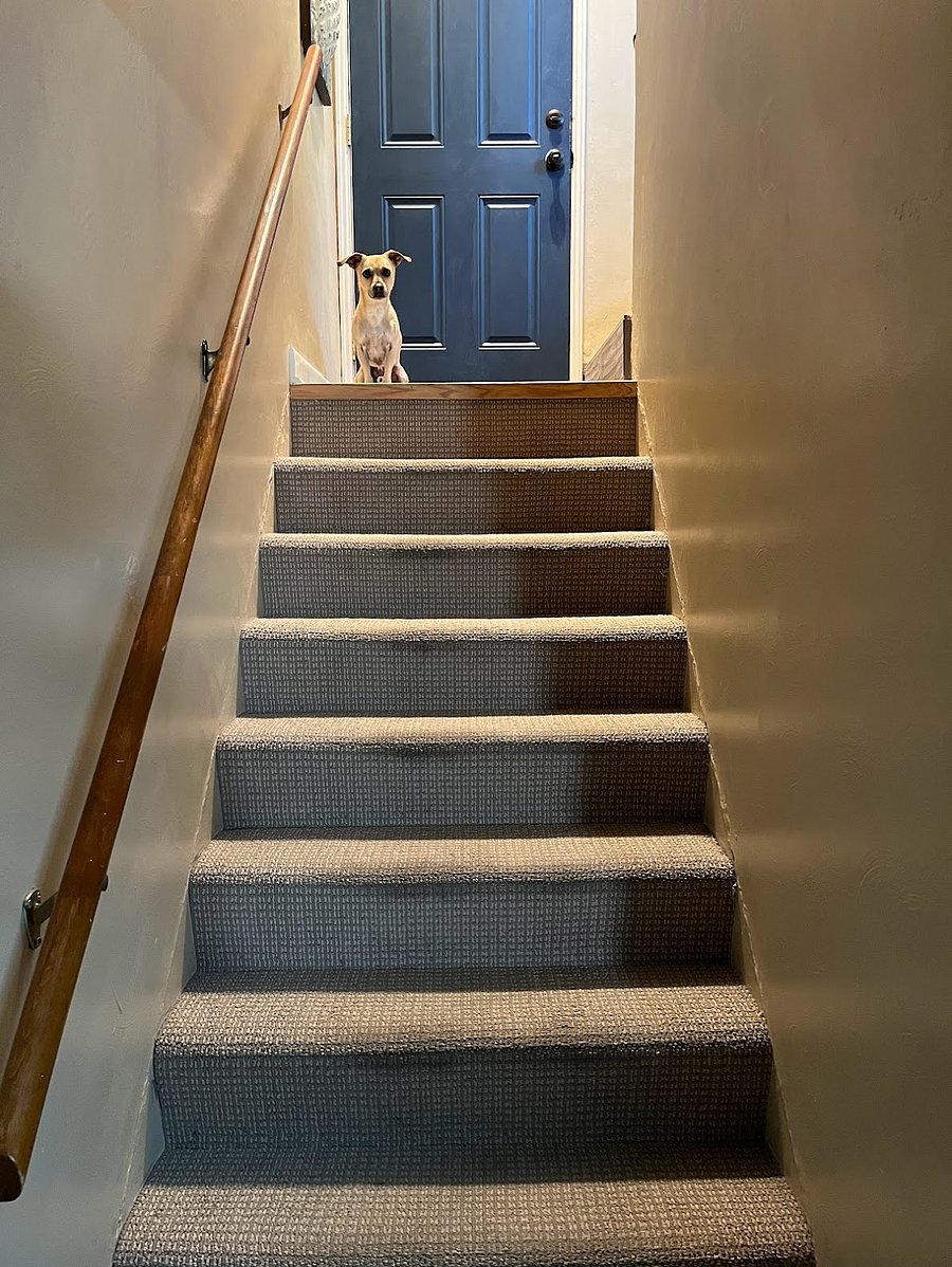 Basement Stairs