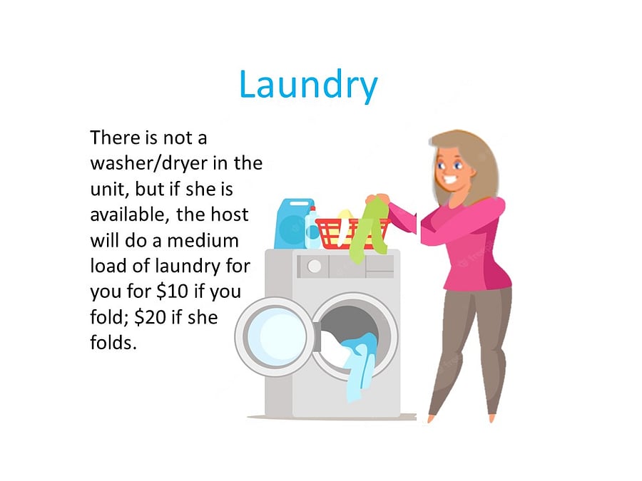 There are laundromats around here too.