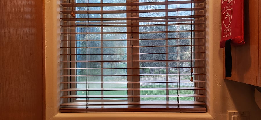 View from the kitchen window