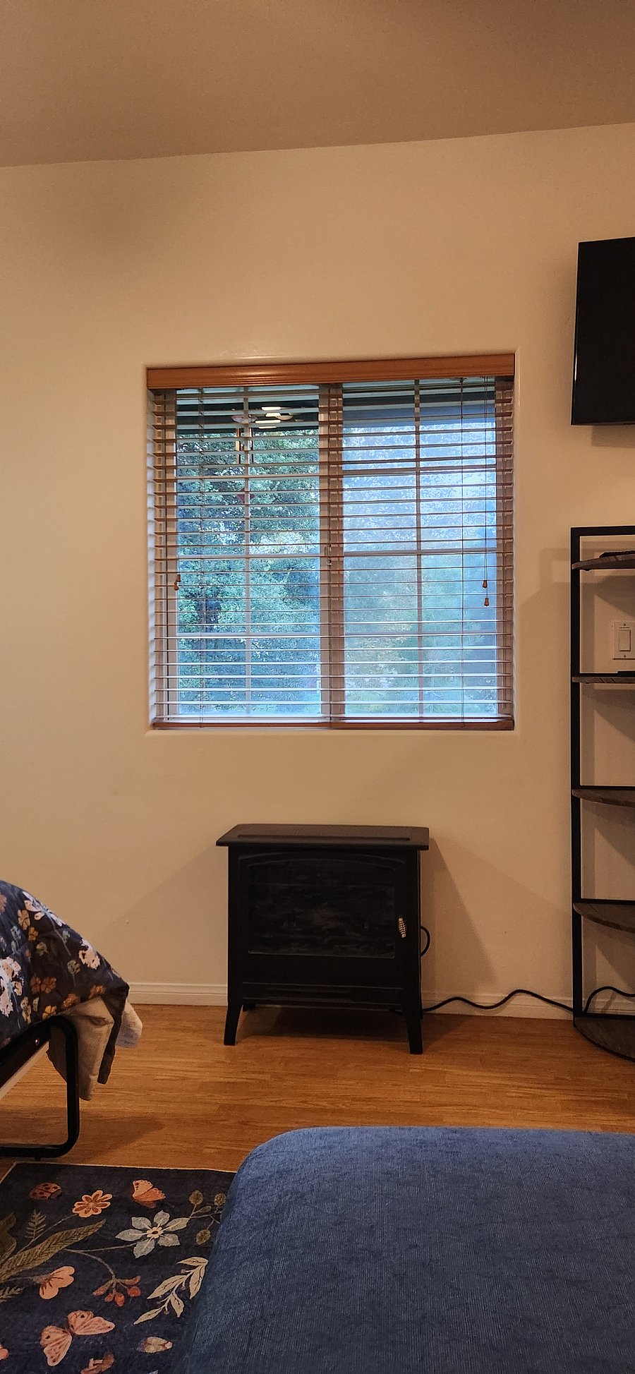 Electric fireplace with remote